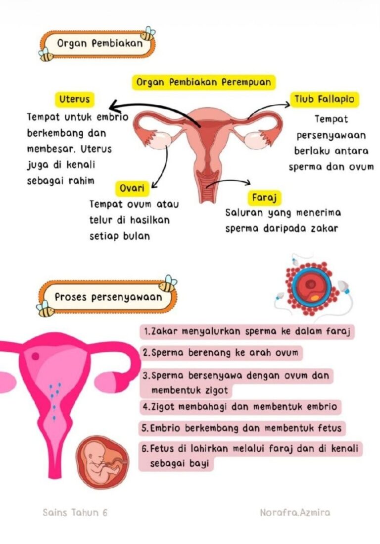 wws